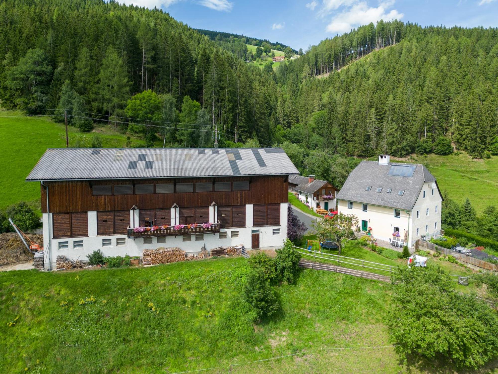 Hochfelner-Prutti - Stockerhof Villa Sankt Marein bei Knittelfeld Eksteriør billede